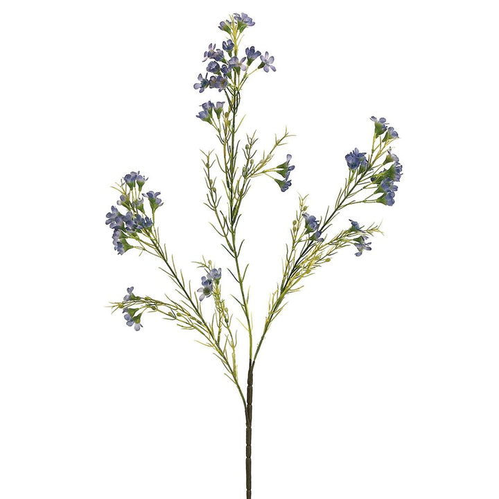 27in Blue Waxflower x3