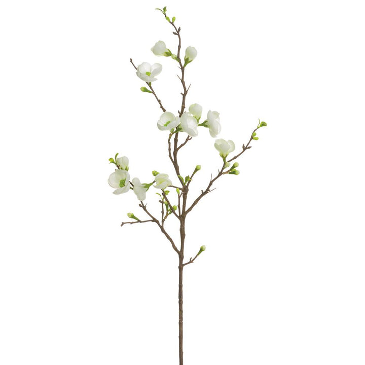 35in Quince Blossom Branch cream