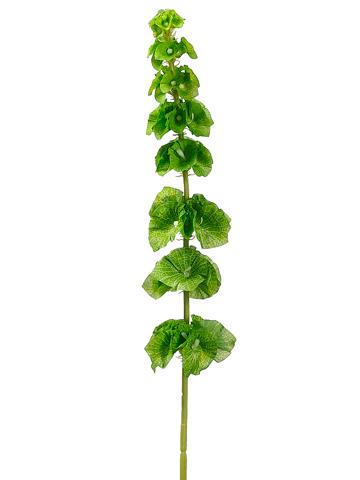 29in Bells of Ireland GREEN