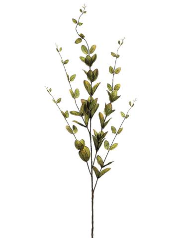 46in Dark Green Lonicera Leaf x5 xyz