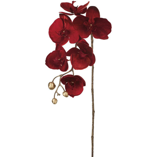 31in Shimmer Velvet Phalaenopsis Orchid RED