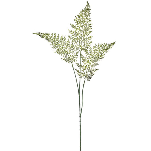 40in Green Lace Fern - Premium Greenery for Wreaths, Arrangements and Home Decor Allstate