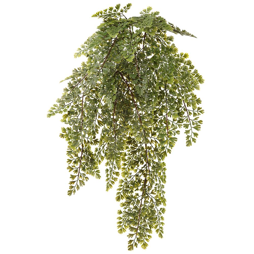 29in Hanging Maidenhair Fern