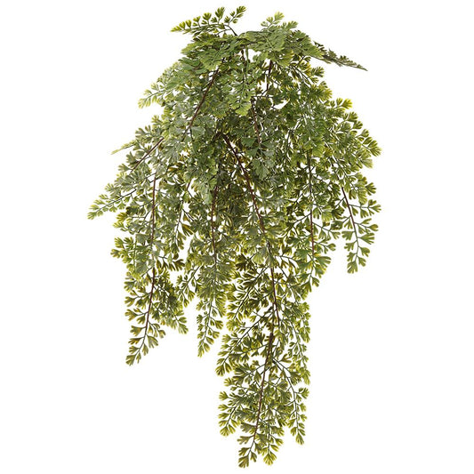 29in Hanging Maidenhair Fern