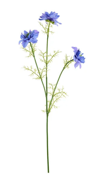 27in Lavender Cosmos x3