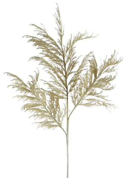 63in Beige Pampas Grass Plume