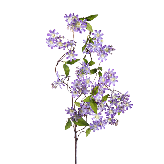 Large Purple WildFlower