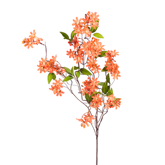Large Salmon WildFlower