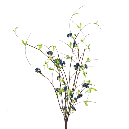 42in Blue Twig Berry Bush