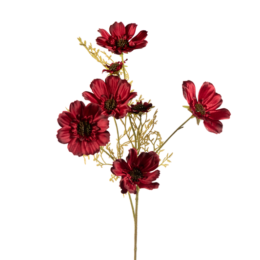26in Cosmos BURG