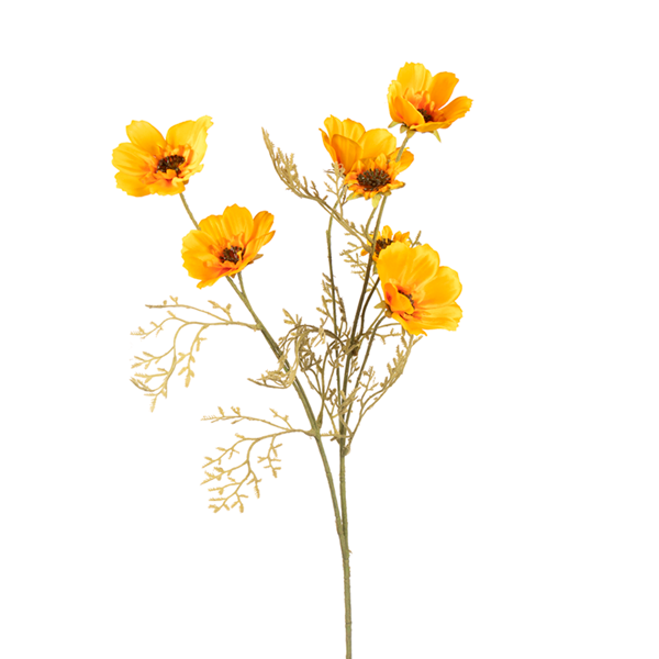 26in Cosmos YELLOW