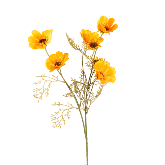 26in Cosmos YELLOW