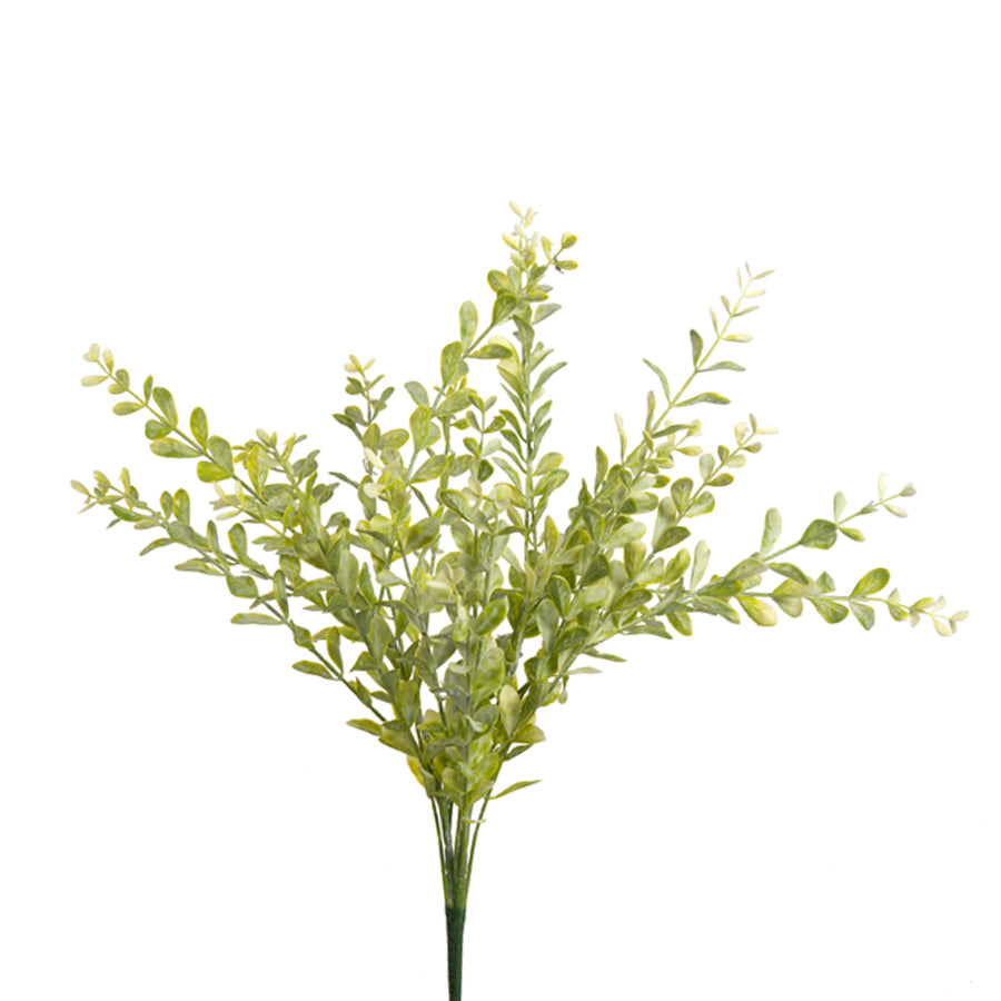 23in Tall Boxwood Bush LIGHT GREEN