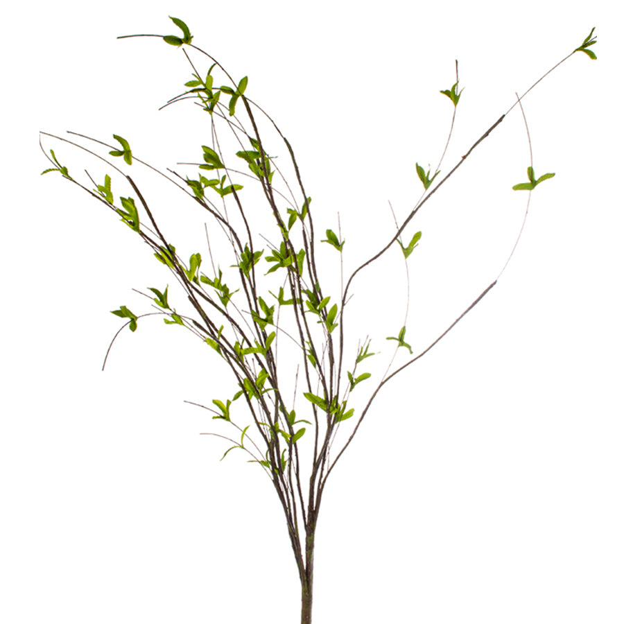 42in Greening Twig