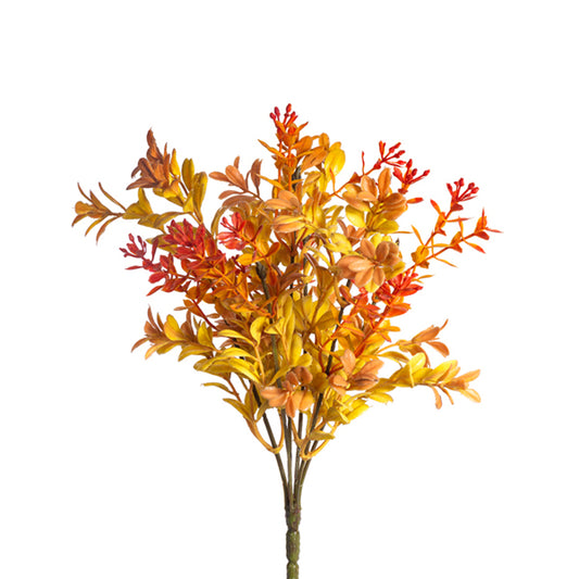 12in Boxwood x6 GOLD MIX