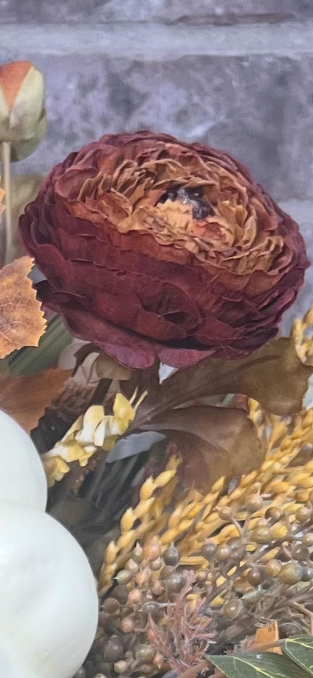 Fall Dried Ranunculus Pumpkin Arrangement - Speckled Arailia Leaf with White pumpkin - Lush Fall Foliage with wheat and pearl cream pumpkin.
