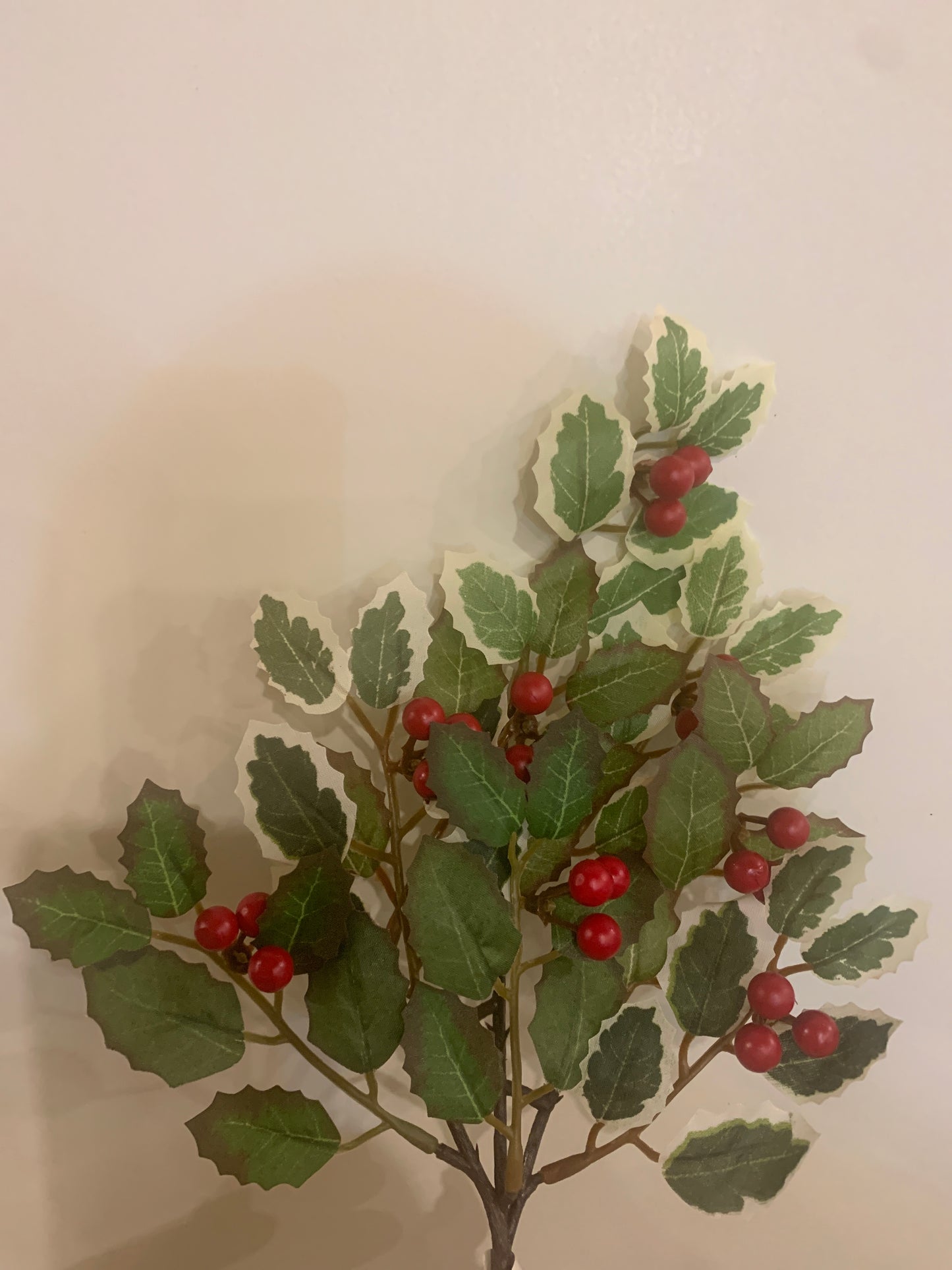 15in Holly & Berry  VARIEGATED