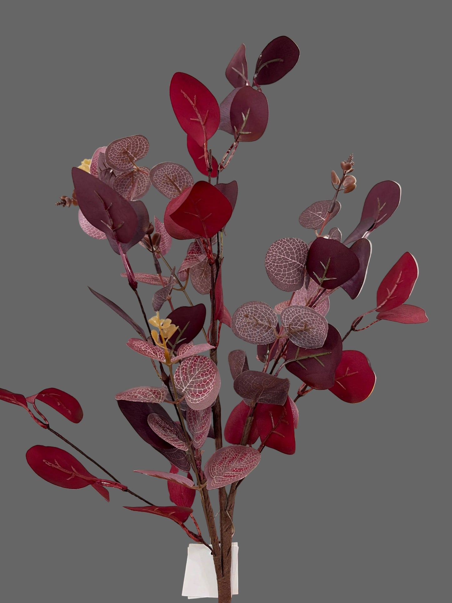 24in Mixed Burgundy Silver Dollar Bush Impressive