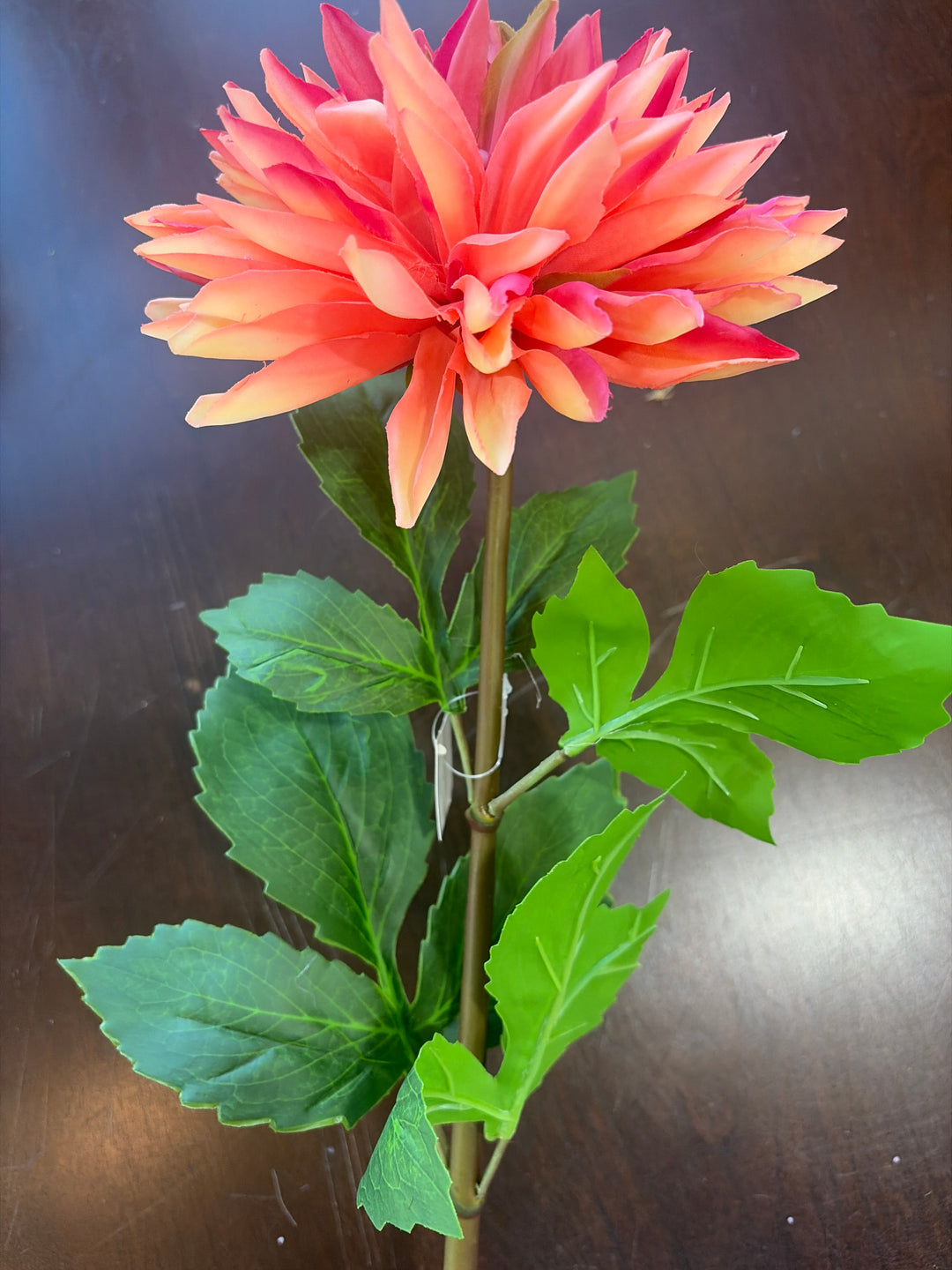 29in Coral Mix Dahlia 6in Bloom