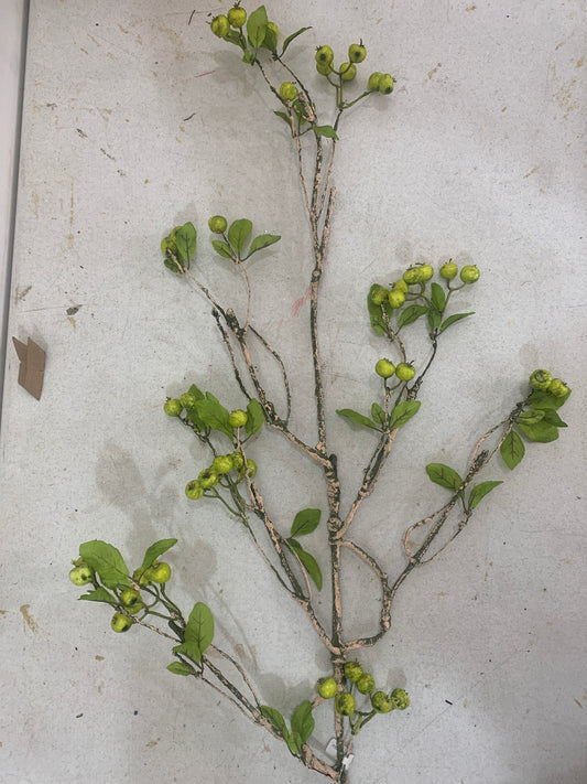 40 in Green Berry Spray