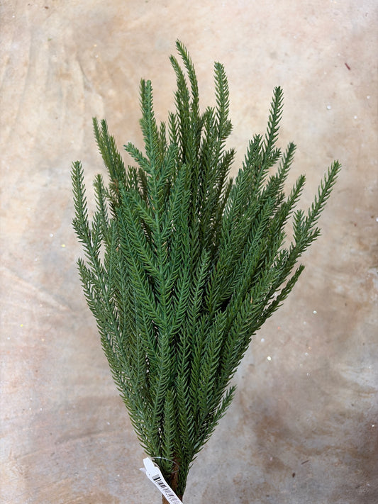21in Austrian Pine Bush - Premium Greenery for Wreaths, Arrangments and Home Decor CRI