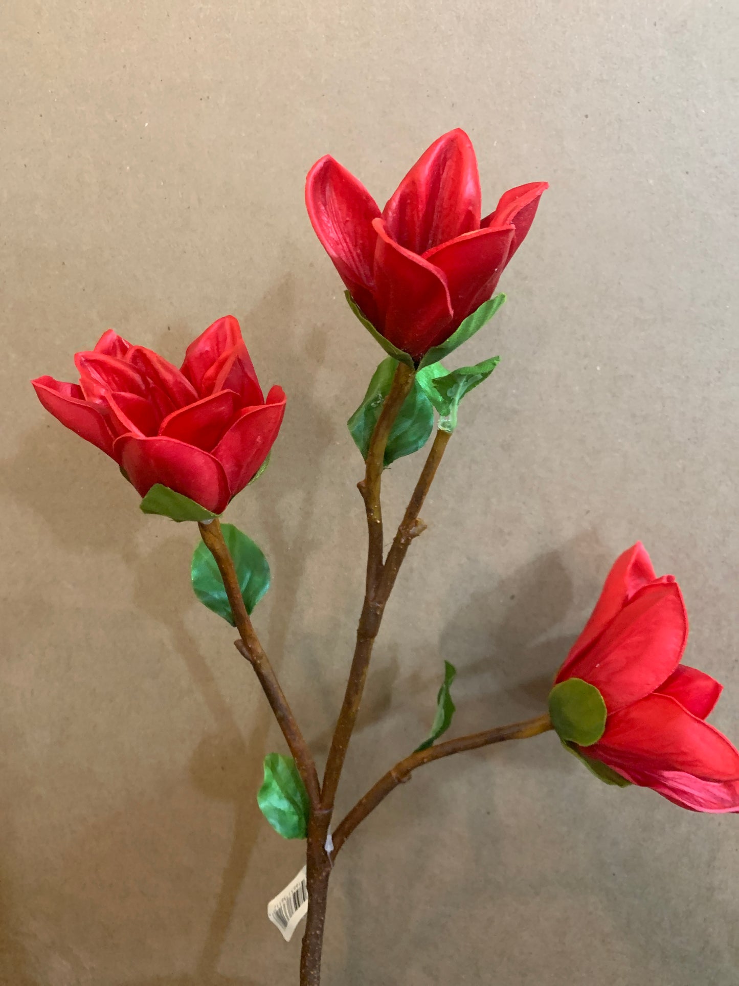 25in Magnolia x2 w/Bud RED