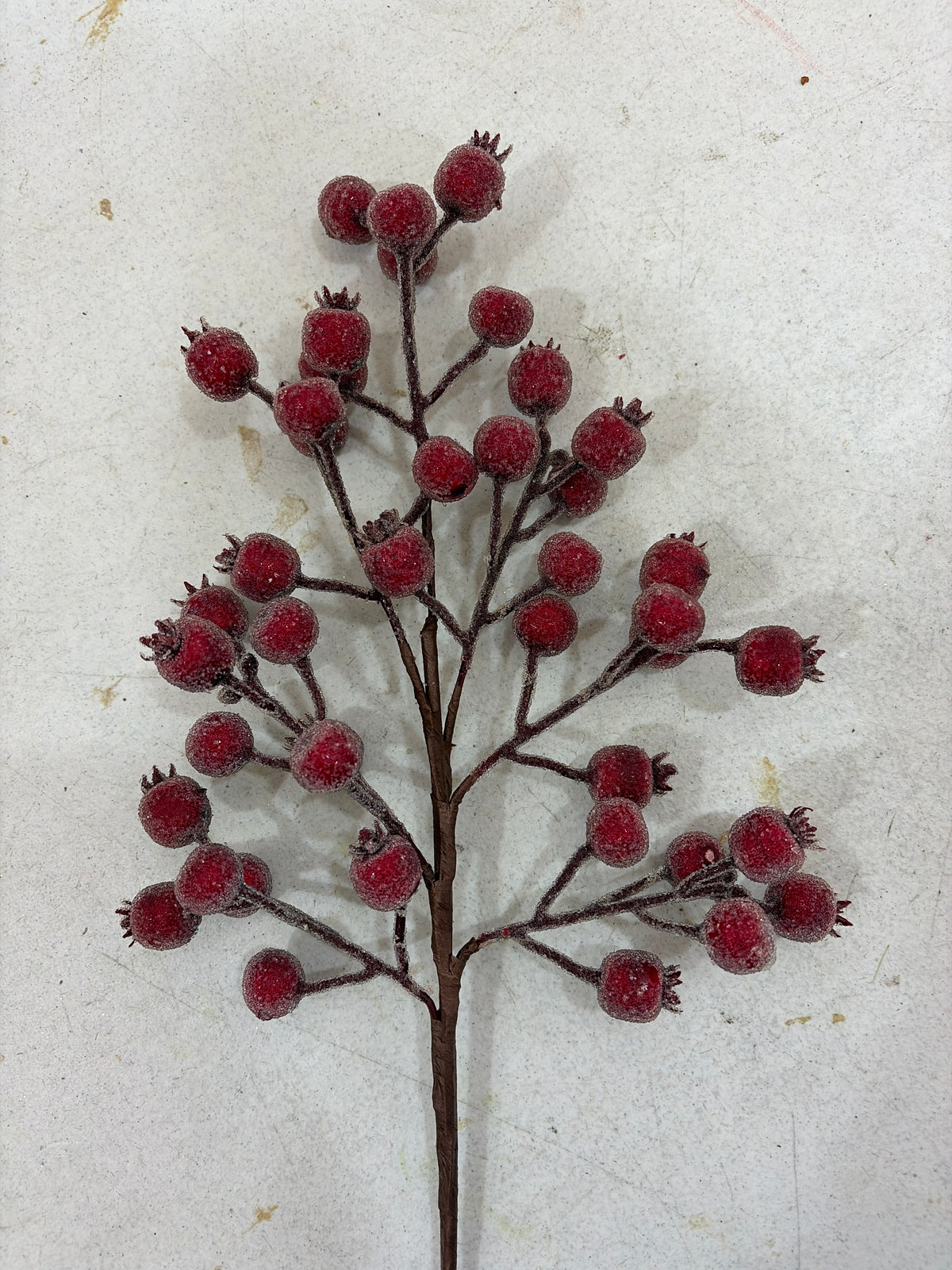 Iced Red Crabapple - Premium Greenery for Wreaths, Arrangements and Home Decor LFI