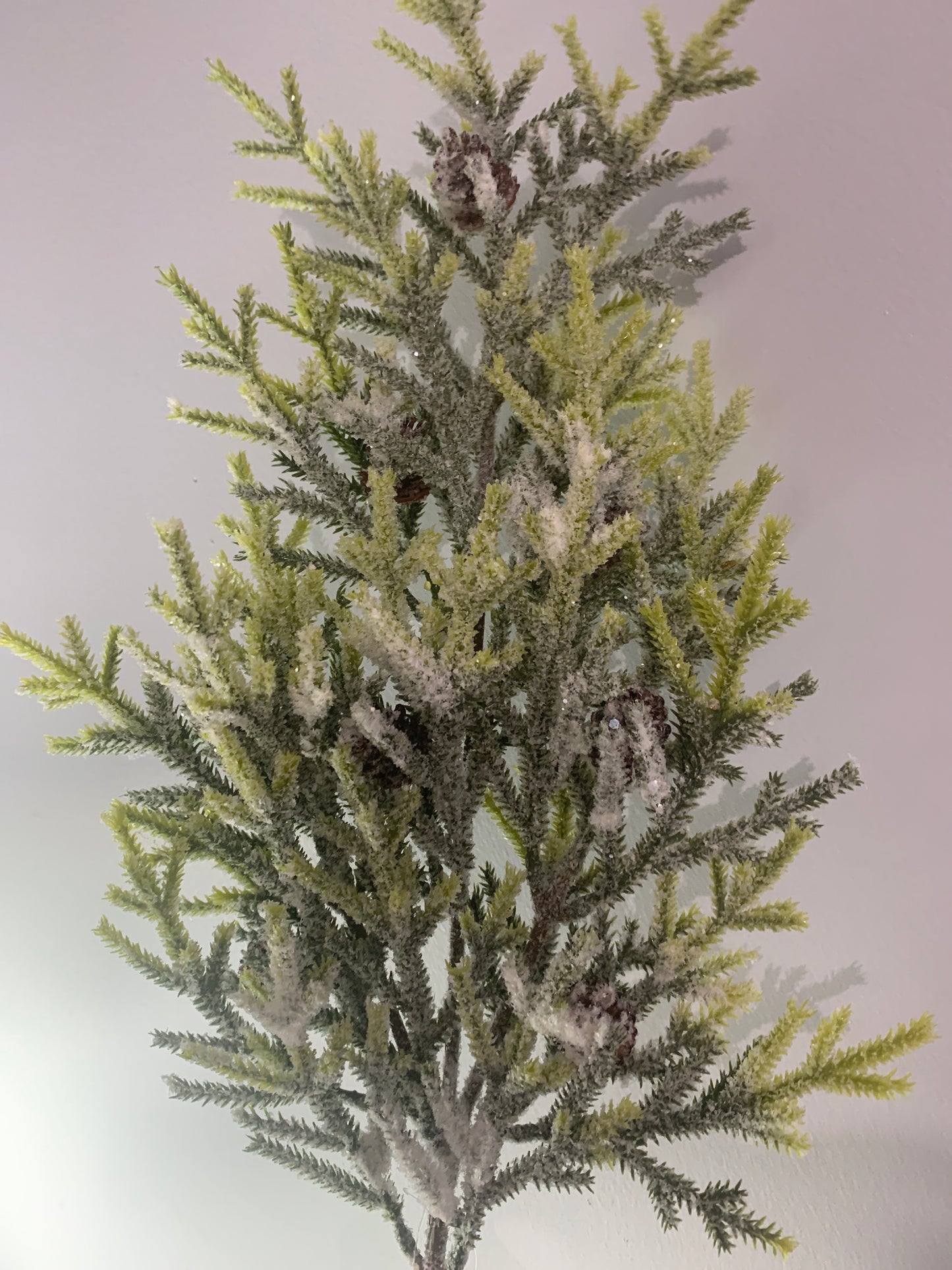 2-tone Frosted Evergreen with Cones