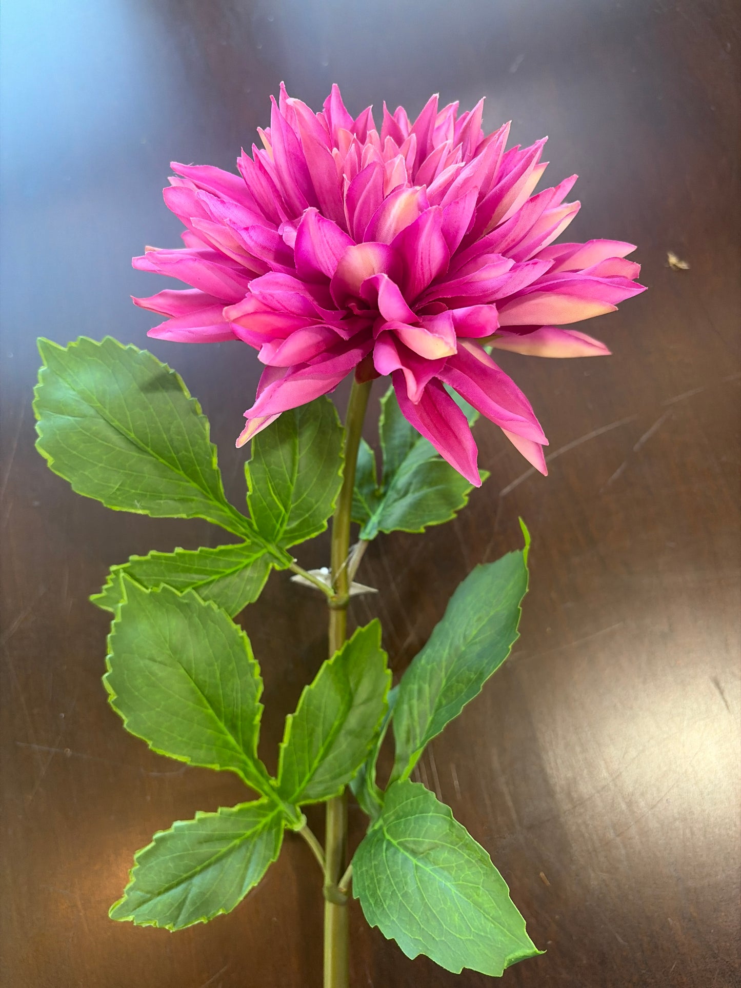 29in Fuchsia Purple Dahlia 6in Bloom