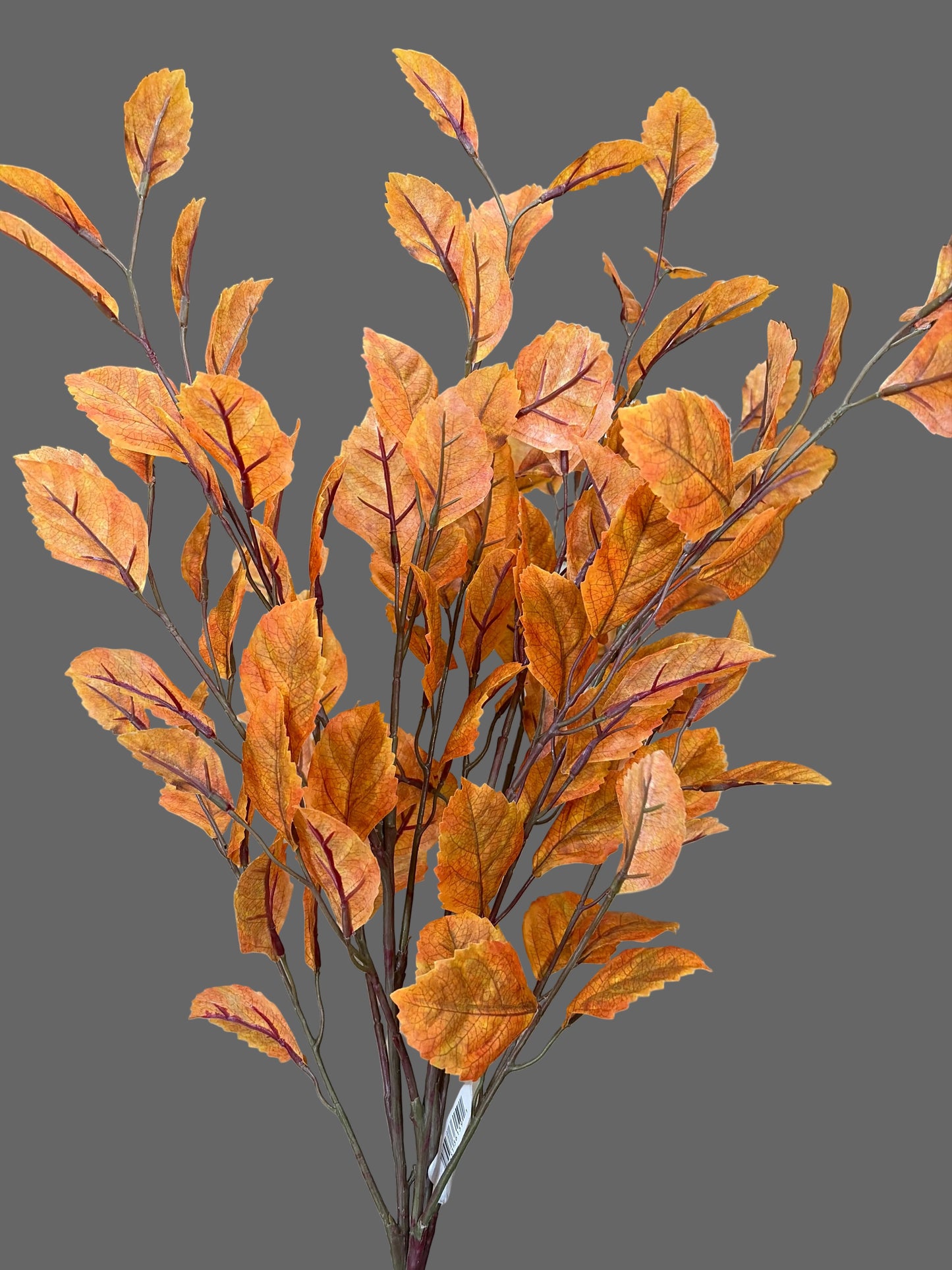 34in Beech Leaf Bundle - Premium Greenery for Wreaths, Arrangements and Home Decor CRI
