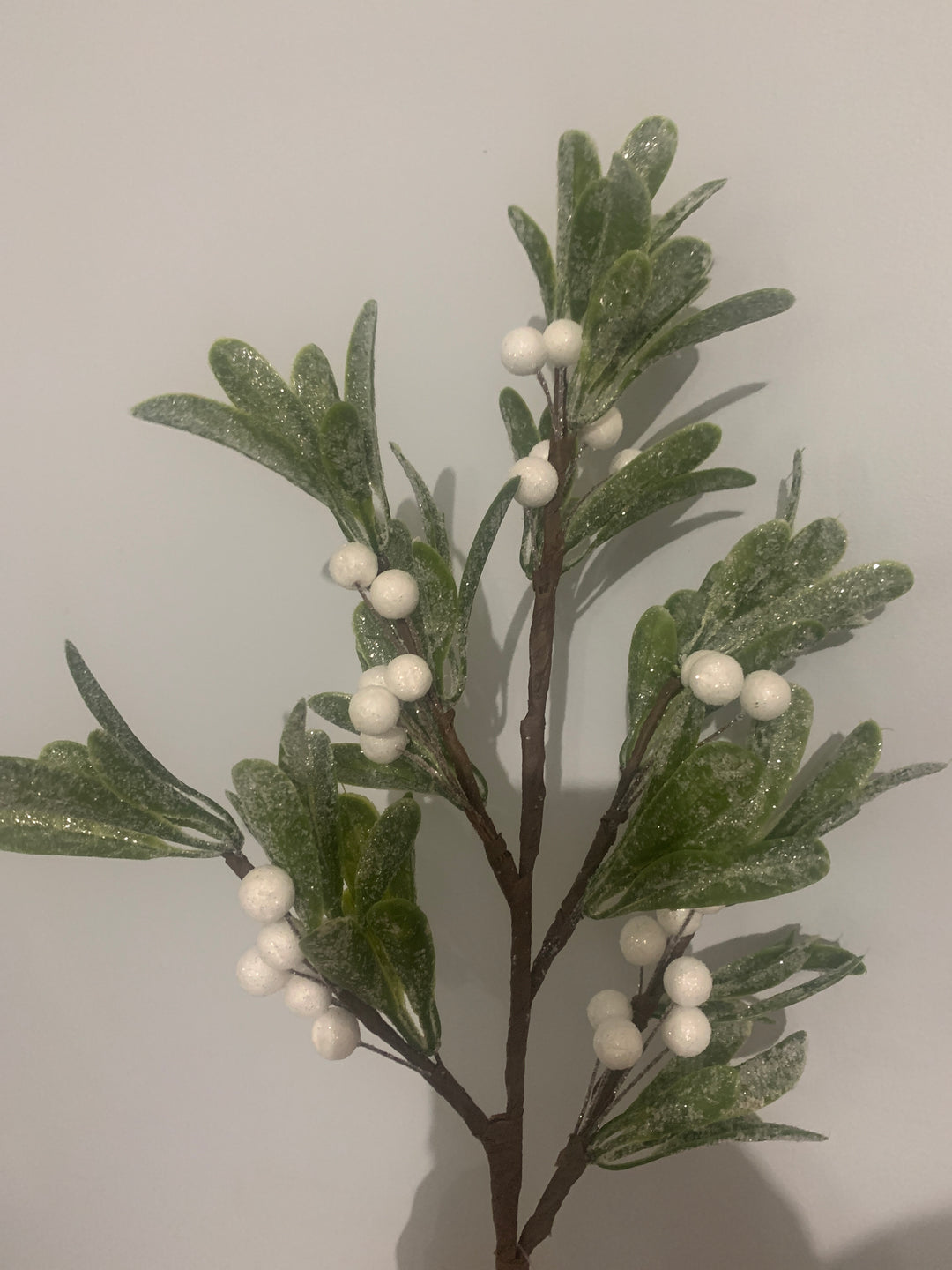 24in Frosted Mistletoe Spray