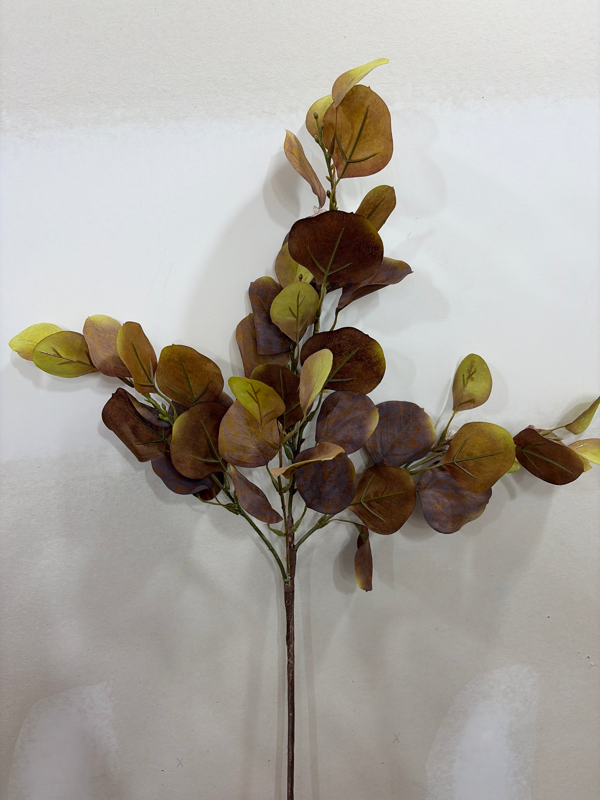 Brown Green Eucalyptus w/Pod LFI