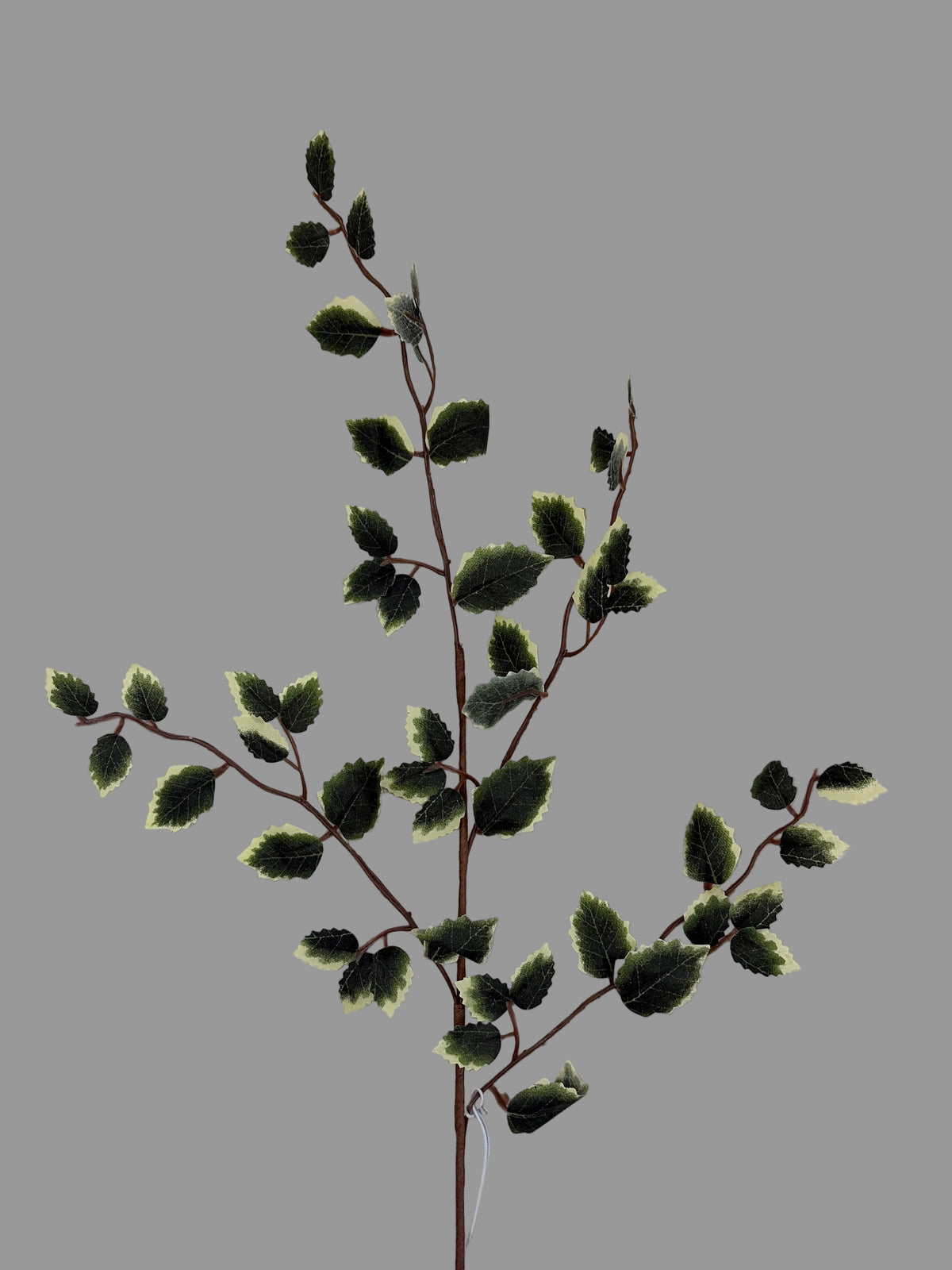 21in Green / Cream Holly - Premium Greenery for Wreaths, Arrangements and Home Decor LFI