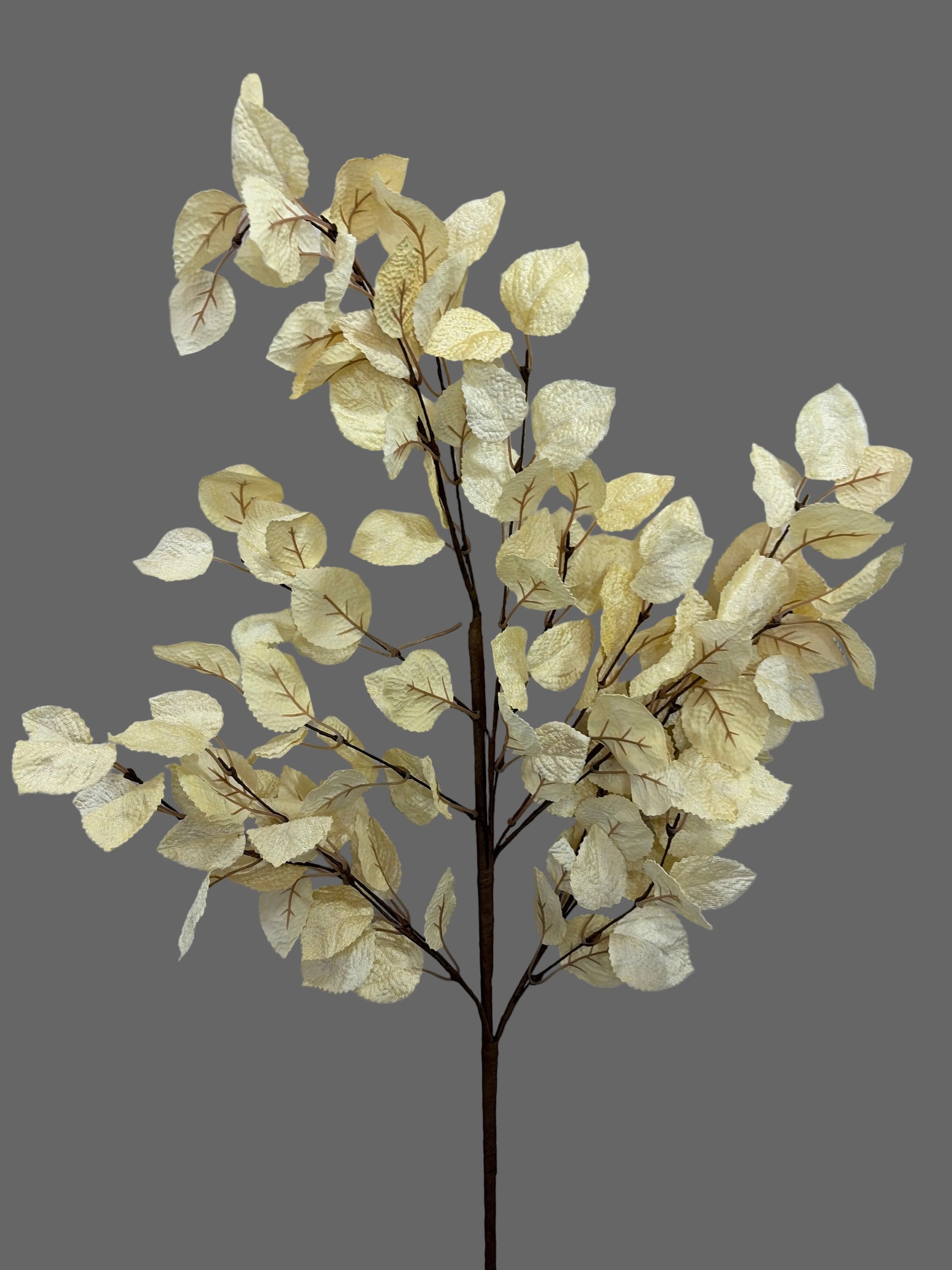 36in Cream Birch Leaves - Premium Greenery for Wreaths, Arrangements and Home Decor LFI