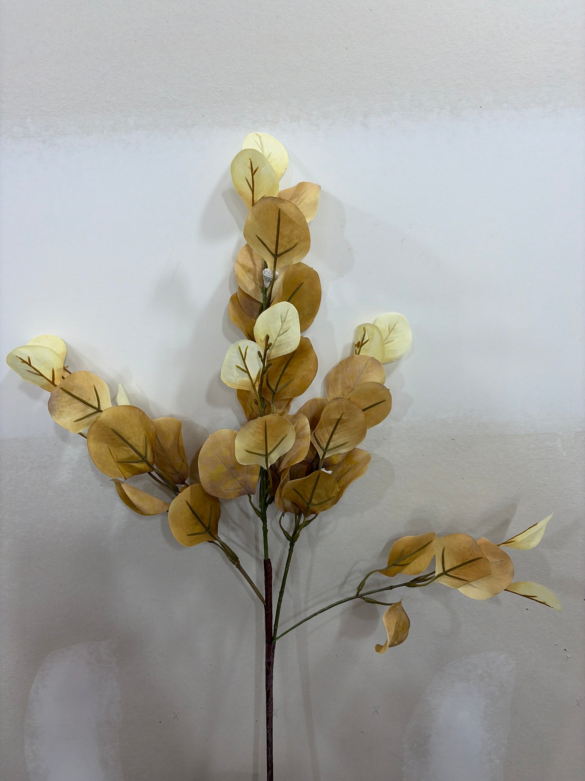 35in Tan Cream Eucalyptus w/Pod LFI