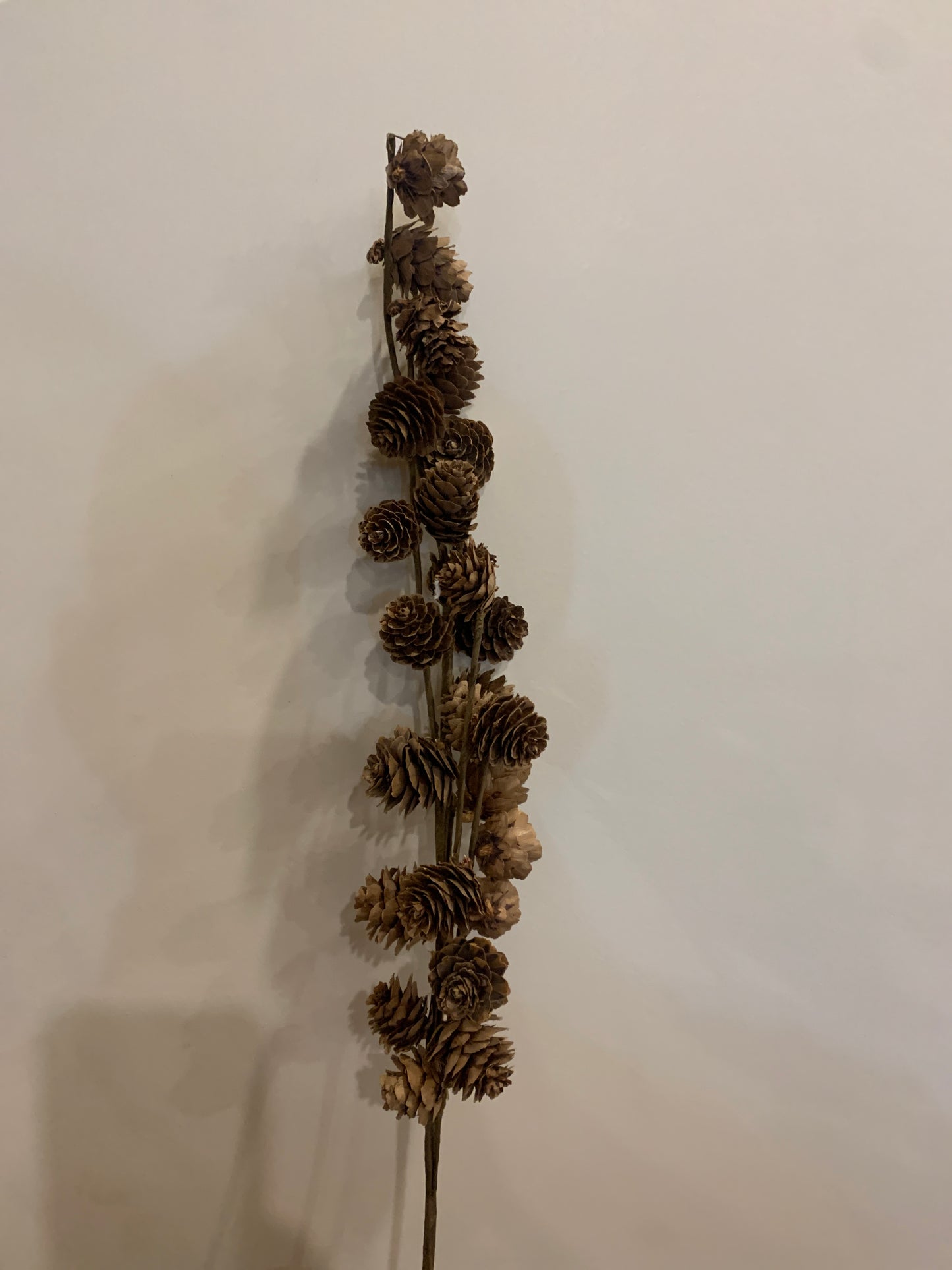 Mini Pine Cone Spray