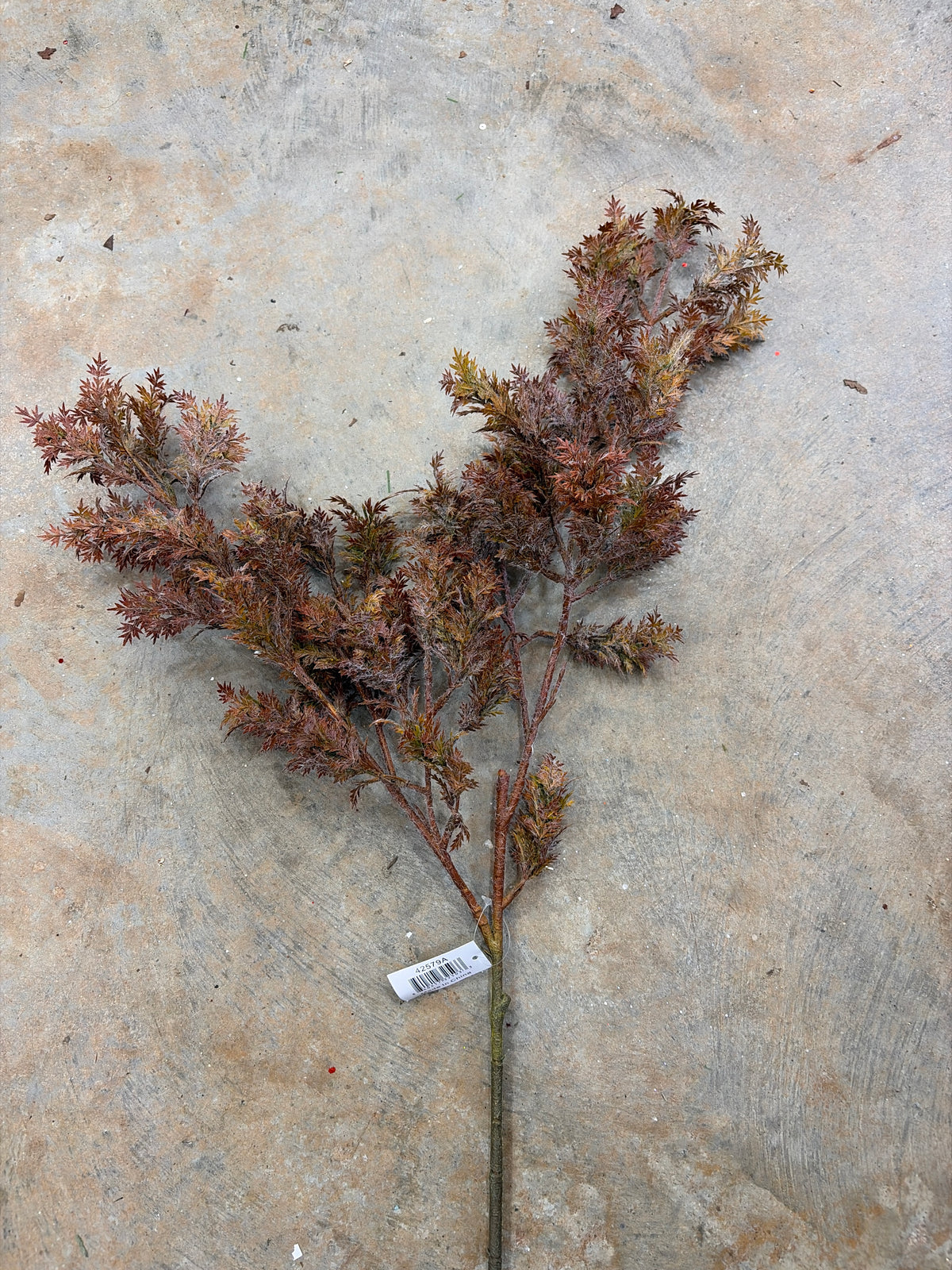 31in Burgundy Green Cypress Branch - Premium Greenery for Wreaths, Arrangements and Home Decor K&K