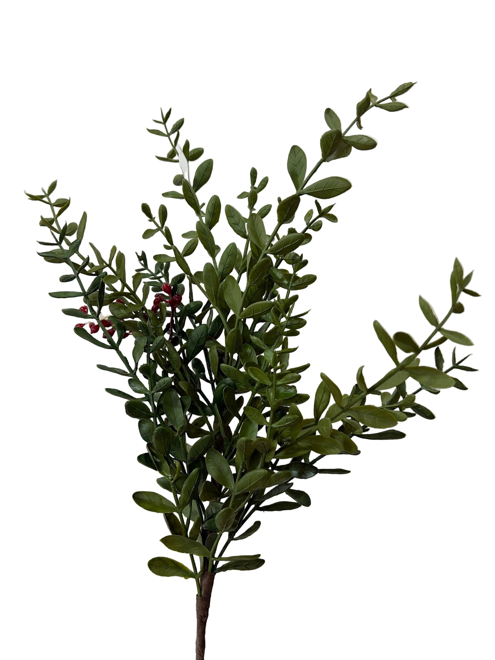 25in Outdoor Green Ruscus Spray - Premium Greenery for Wreaths, Arrangements and Home Decor CRI