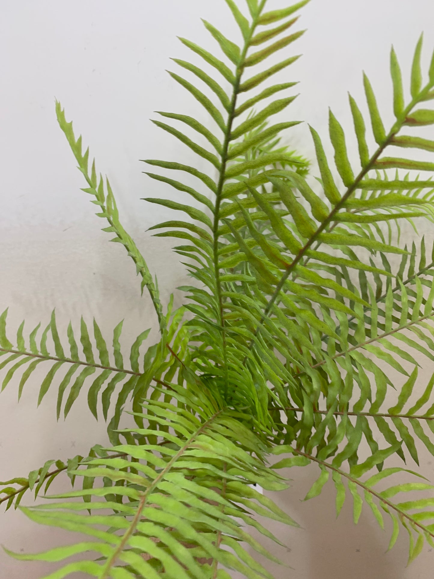 18in Boston Fern x14 - Premium Artificial Greenery for Wreaths, Arrangement & Home Decor