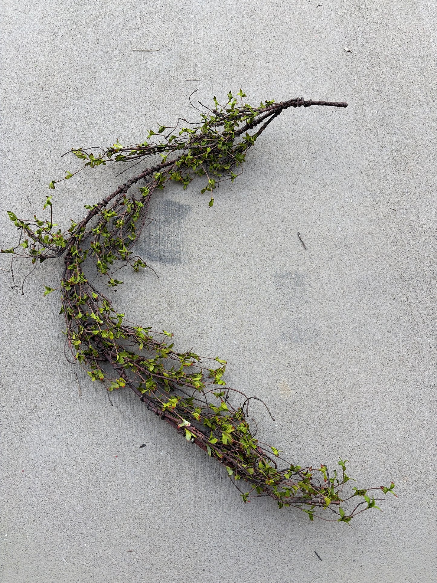 6ft Greening Twig Garland