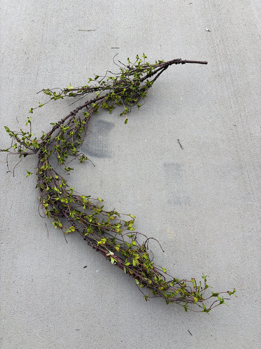 6ft Greening Twig Garland