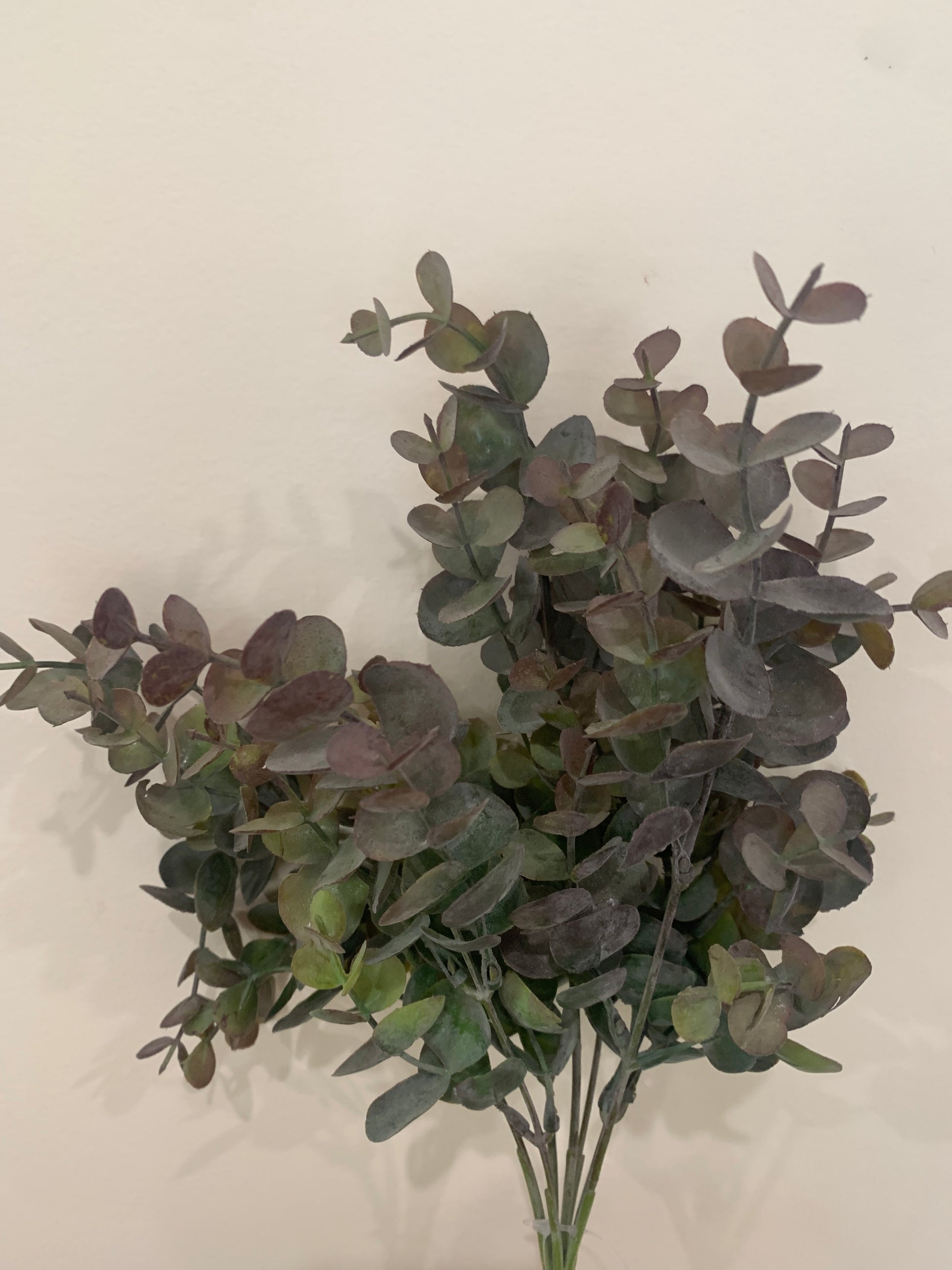 14in Eucalyptus Bush X7 GR/BURG MeraVic