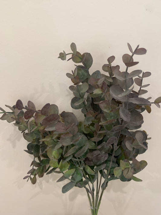 14in Eucalyptus Bush X7 GR/BURG MeraVic
