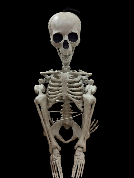 35in Destash Hanging Skeleton Brian Lane Designs