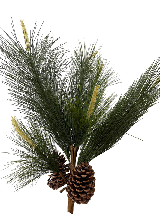 30in Long Needle Pine & Cone CRI