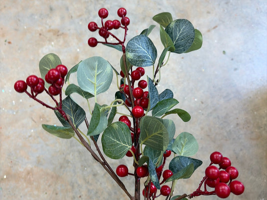 24in Silver Dollar & Red Berries - Premium Greenery for Wreaths, Arrangements and Home Decor Impressive