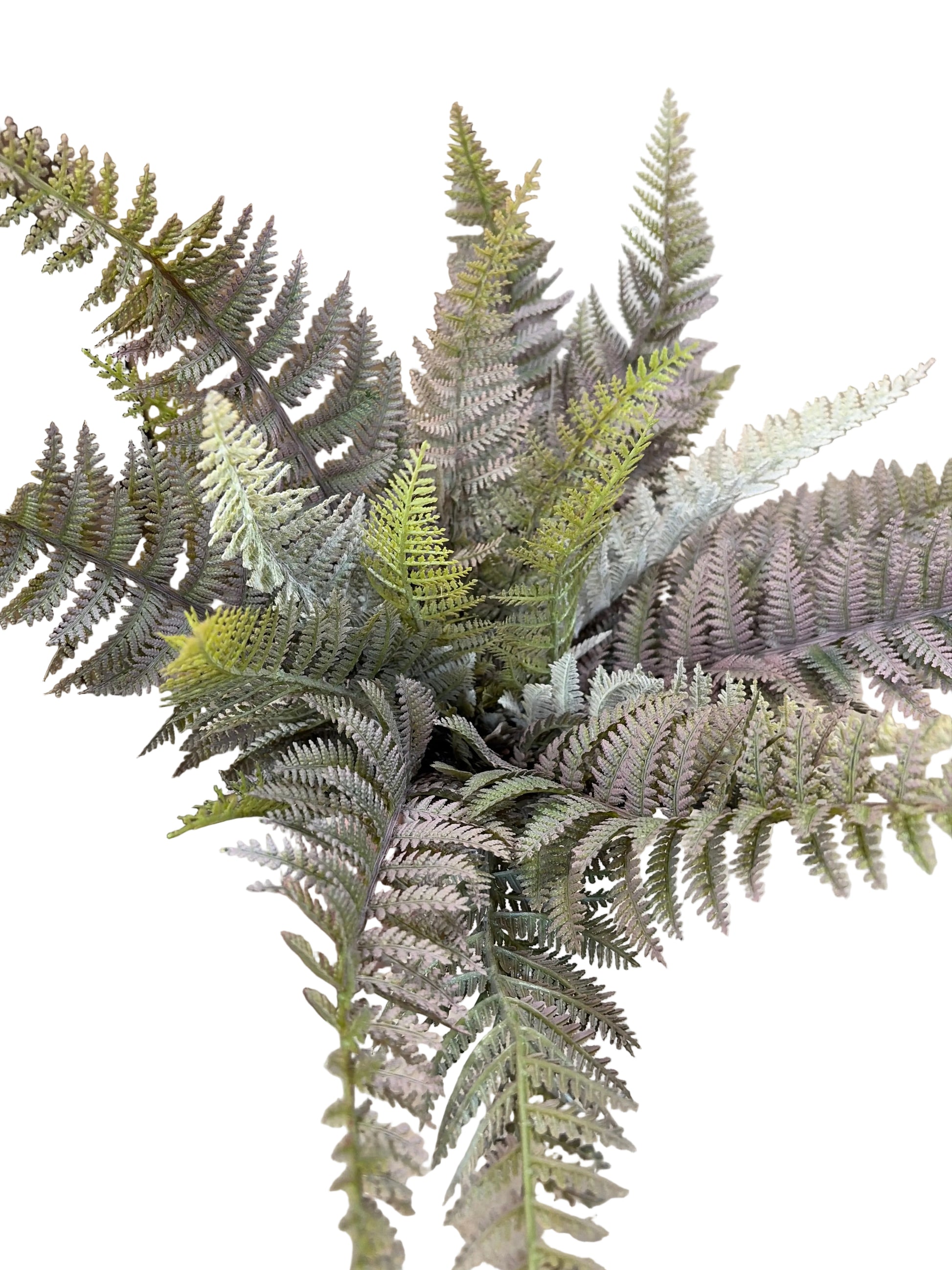 21in Mauve Green Fern - Premium Greenery for Wreaths, Arrangements and Home Decor Allstate