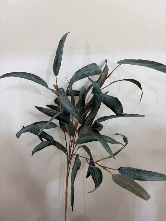 Long-Leaf Olive Green Willow Eucalyptus LFI