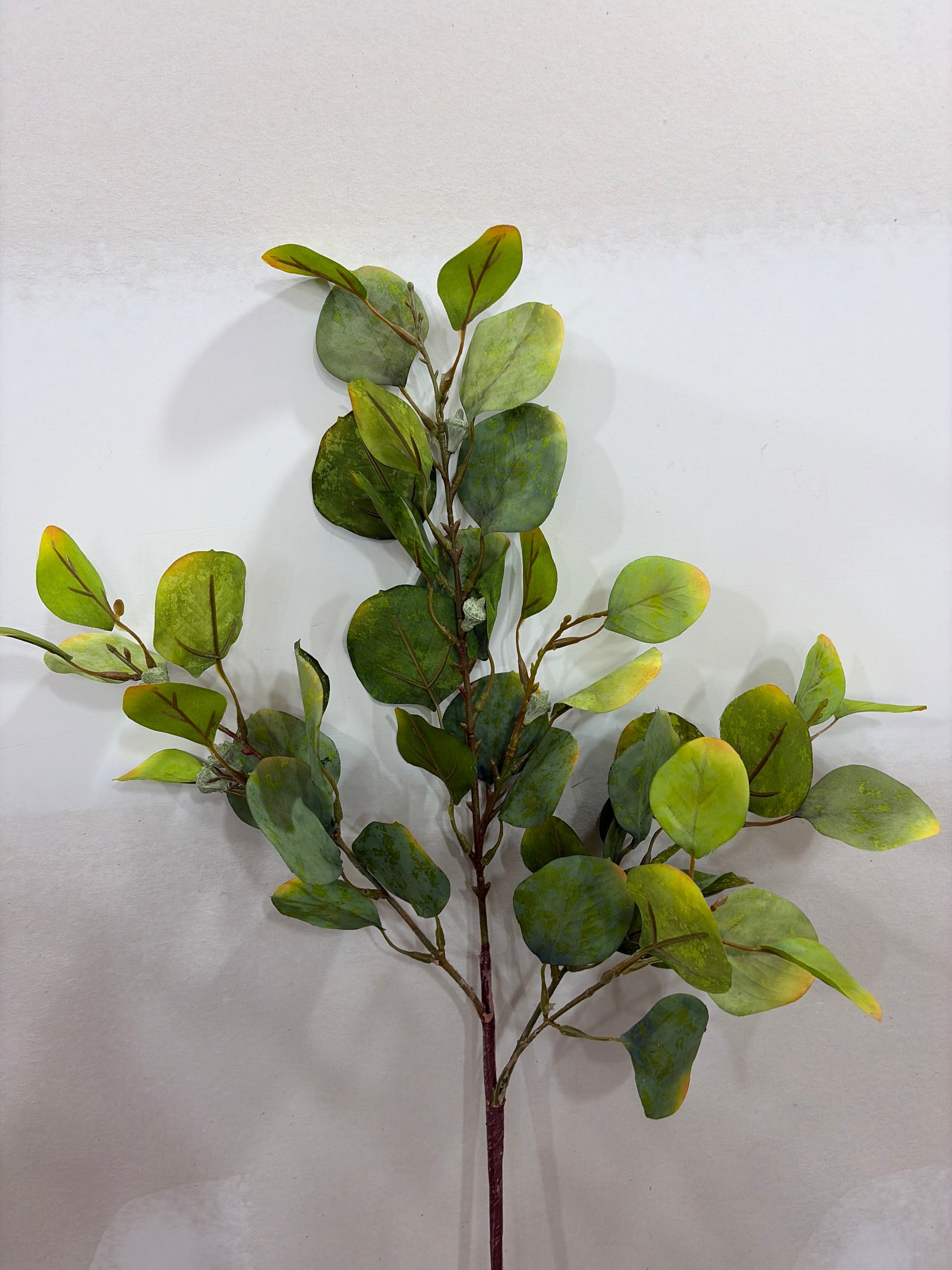 35in Green Gold Eucalyptus w/Pod LFI