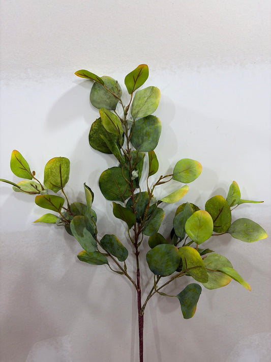 35in Green Gold Eucalyptus w/Pod LFI